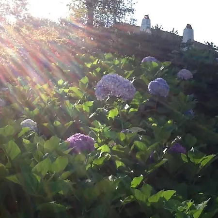 Golfetmer Bed & Breakfast