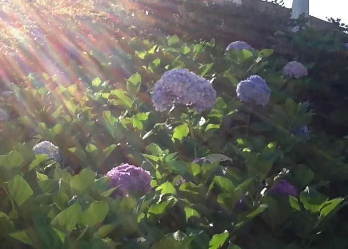 Golfetmer Bed & Breakfast